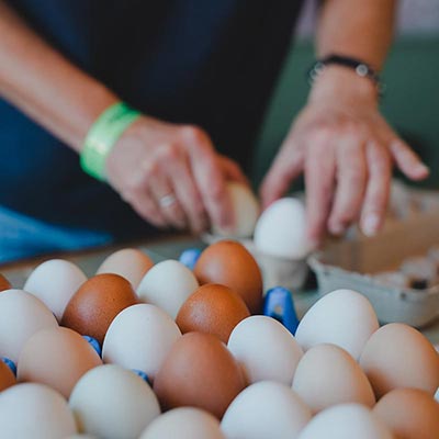 organic eggs of different colors